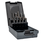 BAHCO ST-10P Tungsten Carbide Rotary Burr Set For Metal - 10 pcs - Premium Carbide Rotary Burr Set from BAHCO - Shop now at Yew Aik.